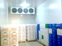 Alemdar chicken and Fisheries Cold Storage