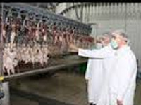 Sahin Poultry Food Crops Cold Room
