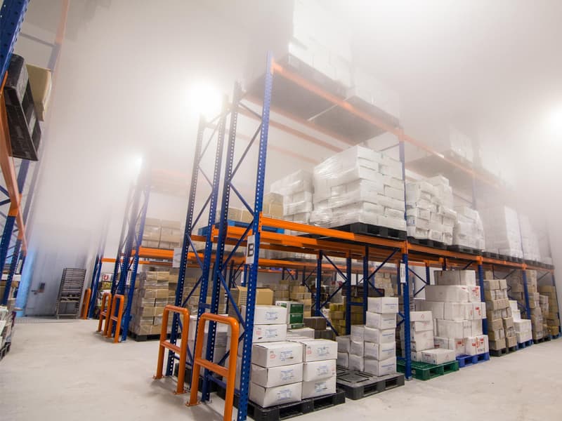 Cold Storage for Frozen Products