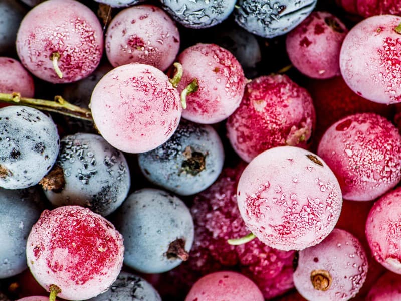 Systèmes de chambre froide dans le transport des légumes et des fruits